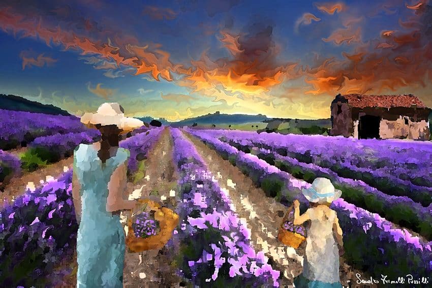 Provenza - Stampa su carta fotografica - cm.70x50