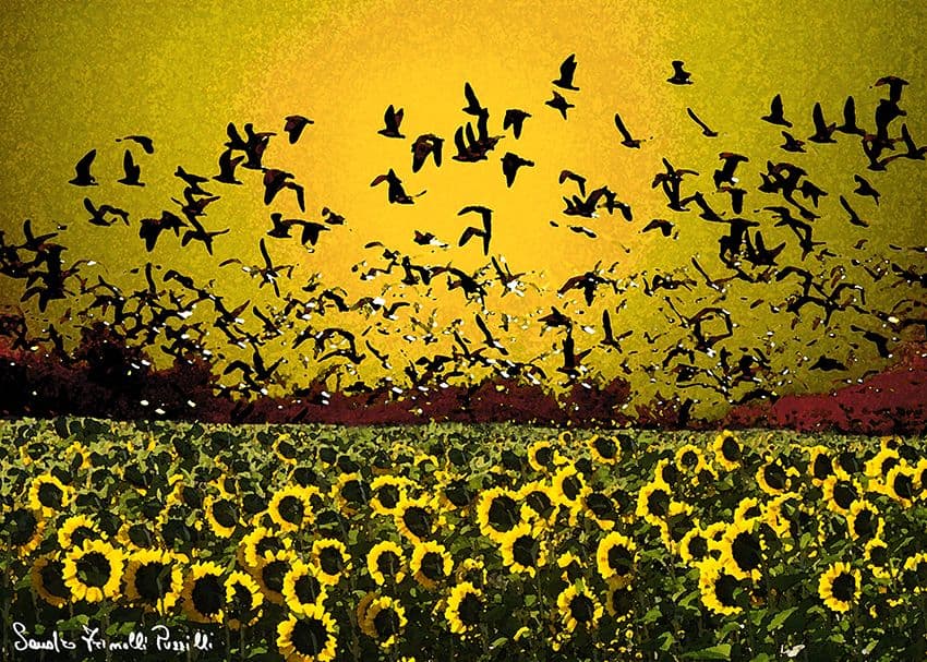 Volo giallo - Stampa su carta fotografica - cm.70x50